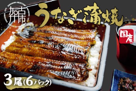 鰻の蒲焼き3尾(6パック)たれ別・挽きたて粉山椒付[ふっくら 焼きたて うなぎ蒲焼き お茶漬け ひつまぶし][2403D05601]