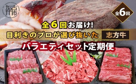  志方牛バラエティセット(定期便)《 定期便 肉 国産 牛肉 牛 国産牛 すき焼き 焼肉 ローストビーフ 焼き豚 お手軽 おいしい お取り寄せ オードブル 志方牛 送料無料 》