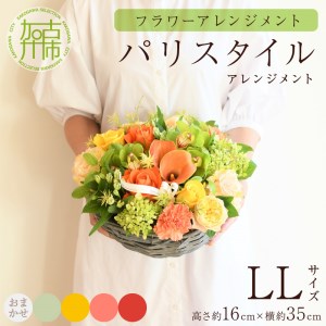 [フラワーアレンジメント]パリスタイルアレンジメント(LLサイズ)[5色カラバリ展開][2404U03808]