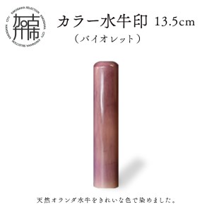 カラー水牛印[天然オランダ水牛](バイオレット)13.5mm[2407S09805]