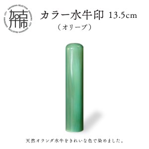 カラー水牛印[天然オランダ水牛](オリーブ)13.5mm[2407S09806]