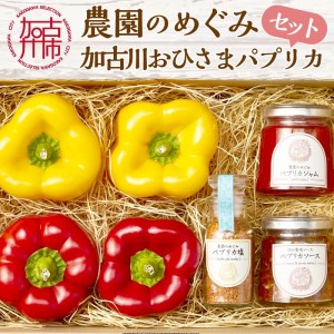 ☆期間限定☆加古川おひさまパプリカ&ジャム・ソース・ソルト[8月中旬より順次発送][ パプリカ ジャム ソース ソルト おひさまパプリカ 国産 おすすめ プレゼント 贈答 美味しい 送料無料 ][2401F08201]