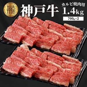 神戸牛カルビ焼肉1.4kg(700g×2) [ 肉 カルビ 神戸牛 焼肉 サシ 国産 1.4kg 小分けタイプ プレゼント お取り寄せ 送料無料 おすすめ][2404A00215]