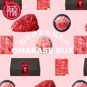 OMAKASE BOX 肉のまち加古川 プリンセス和牛定期便(全4回)[ 肉 定期便 牛肉 ステーキ しゃぶしゃぶ すき焼き用 焼肉 おすすめ 贈答 プレゼント ][2407A11504]