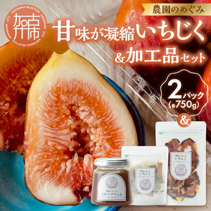 期間限定【農園のめぐみ】甘味が凝縮いちじく750g×2・いちじく加工品セット《 数量限定 限定 果物 くだもの フルーツ いちじく 無花果 送料無料 》【2402C08211】