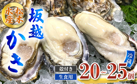 牡蠣 生食用 坂越かき 殻付き 20〜25個 松本水産 [ 生牡蠣 真牡蠣 かき カキ 冬牡蠣 ] 魚貝類 海鮮 海のミルク 身が大きい 濃厚