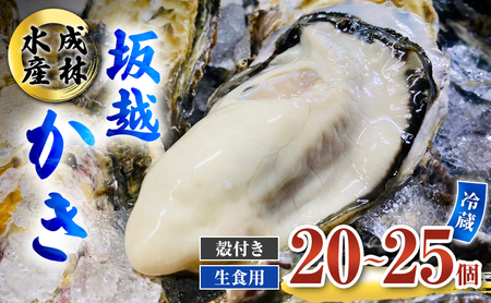 牡蠣 生食用 坂越かき 殻付き 20〜25個 成林水産 [ 生牡蠣 真牡蠣 かき カキ 冬牡蠣 ] 魚貝類 海鮮 海のミルク 身が大きい 濃厚