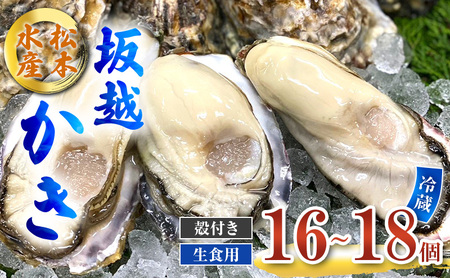 牡蠣 生食用 坂越かき 殻付き 16〜18個 松本水産 [ 生牡蠣 真牡蠣 かき カキ 冬牡蠣 ] 魚貝類 名水百選 天然記念物 生島樹林 栄養 海 ミルク 濃厚 旨味 厳選 新鮮