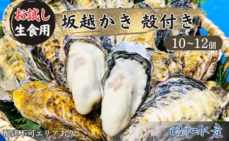 牡蠣 生食用 お試し 坂越かき 殻付き 10〜12個 成林水産 [ 生牡蠣 真牡蠣 かき カキ 一人暮し 冬牡蠣 ]