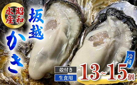 牡蠣 生食用 お試し 坂越かき 殻付き 13〜15個 昭和水産 [ 生牡蠣 真牡蠣 かき カキ 一人暮し 冬牡蠣 ]