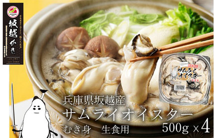 y H z ނg 500g×4 TCICX^[  y Ɍ ԕs L