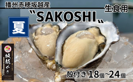 y SAKOSHI Hp kt 18`24 2kgyiCtt [ z v~A y ĉy  JL O{ ]