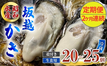 定期便 牡蠣 生食用 坂越かき 殻付き 20〜25個[2ヶ月連続お届け] 昭和水産 [ 生牡蠣 真牡蠣 かき カキ 冬牡蠣 ]