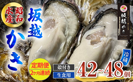  y Hp z kt 42`48s2A͂t aY [ y ^y  JL ~y ]