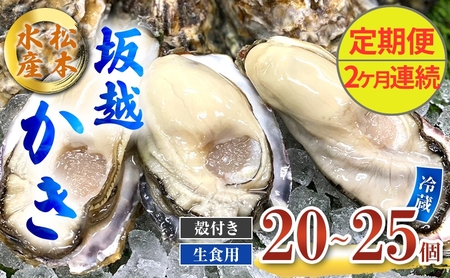 定期便 牡蠣 生食用 坂越かき 殻付き 20〜25個[2ヶ月連続お届け] 松本水産 [ 生牡蠣 真牡蠣 かき カキ 冬牡蠣 ]