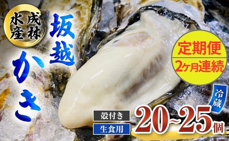 定期便 牡蠣 生食用 坂越かき 殻付き 20〜25個[2ヶ月連続お届け] 成林水産 [ 生牡蠣 真牡蠣 かき カキ 冬牡蠣 ]