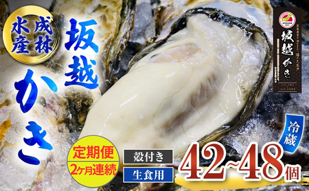  y Hp z kt 42`48s2A͂t ѐY [ y ^y  JL ~y ]
