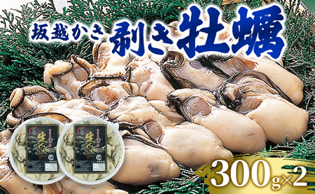 牡蠣 坂越かき 剥き牡蠣 300g×2[ 生牡蠣 かき カキ むき身 剥き身 生食 冬牡蠣 国産 ] 兵庫県 赤穂市