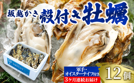 [発送月固定定期便]生食OK 坂越か き 殻付き牡蠣 12個 軍手・オイスタ ーナイフ付全3回