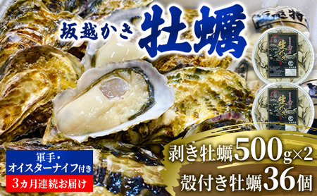 [発送月固定定期便]3ヶ月連続 坂 越かき 剥き身500g×2 殻付き36個 軍手・牡蠣ナイフ付全3回