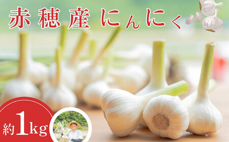 赤穂産 栽培期間中無農薬 にんにく(300g) ニンニク 兵庫県 赤穂市