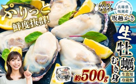 坂越かき むき身 約500g×1パック[2026年1月上旬〜2026年3月下旬頃発送予定]/ 牡蠣 かき カキ オイスター サムライオイスター 生牡蠣 魚介 貝 海産物 生食 パック 兵庫県 赤穂市