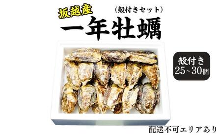 牡蠣 坂越かき 殻付き (25個～30個)
