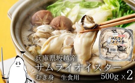 牡蠣 生食 坂越かき むき身 500g×2(サムライオイスター) 生牡蠣 冬牡蠣