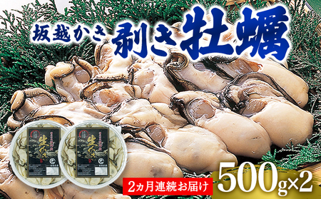 牡蠣 生食 坂越かき むき身 500g×2(サムライオイスター) 生牡蠣 冬牡蠣