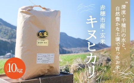 令和4年産　キヌヒカリ玄米　10kg