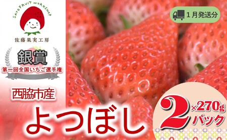 [2025年産先行予約]「西脇市産 佐藤果実工房のよつぼし」(約270g×2パック 約540g)[佐藤果実工房 全国いちご選手権銀賞受賞農園 TVで紹介!]令和7年1月下旬配送分(07-45)