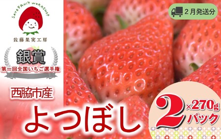 s2026NYs\tuesY ʎH[̂ڂvi270g×QpbN 540gjyʎH[ SI茠܎ܔ_ TVŏЉ!zߘaWNQ{zi07-45j
