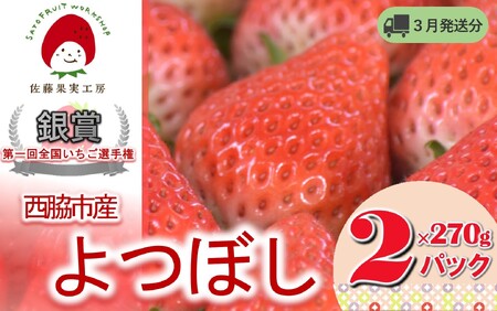 《2025年産先行予約》「西脇市産 佐藤果実工房のよつぼし」（約270g×２パック 約540g）【佐藤果実工房 全国いちご選手権銀賞受賞農園 TVで紹介!】令和７年３月下旬配送分（07-45）