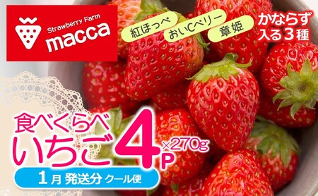 農家直送で新鮮!「西脇市産いちご3種セット」(1箱4パック)〜いちご畑macca〜(11-47) 令和7年1月上旬配送分