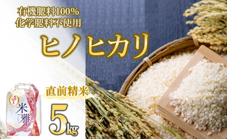 【11月上旬～発送】「ヒノヒカリ」5kg 先行予約 白米 精米 直前精米 新米 化学肥料不使用 有機米 お米 こめ コメ ヒノヒカリ ひのひかり 人気 兵庫県産 精米（07-48）