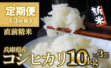 [定期便/3回]コシヒカリ 白米10kg ×3か月連続お届け