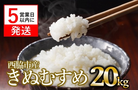 yʂނ߁zߘa7NY 20kgy5cƓȓɔz