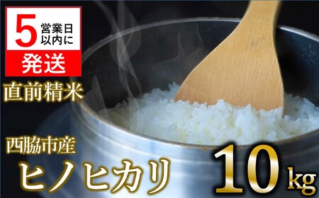 [数量限定]令和6年産 ヒノヒカリ 白米10kg [5営業日以内発送] (22-65)
