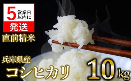 [数量限定]令和6年産 コシヒカリ 白米10kg [5営業日以内発送] (25-22)