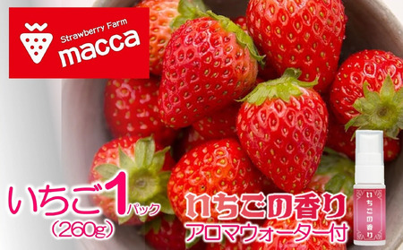 maccâ1pbNƂ̃A}EH[^[Zbg`macca`i08-52j ߘaWNQ{z