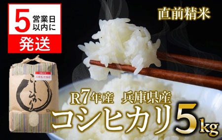 �y�X�s�[�h�����z�y�V�āz�R�V�q�J�� 5kg ���� �ߘa�V�N�Y