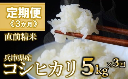 �y�����/�R��z�R�V�q�J�� ����5kg ×3�����A�����͂�