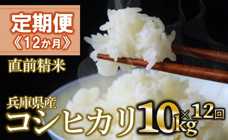 �y�����/12��z�R�V�q�J�� ����10kg ×12�����A�����͂�