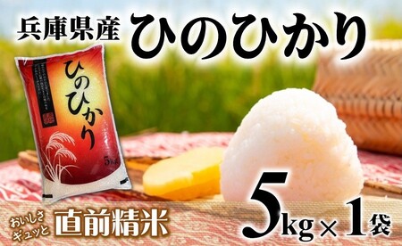 [7営業日以内発送]ヒノヒカリ 5kg 白米 令和7年産 [城口商店]米 お米 5kg 米5kg 兵庫県産 ひのひかり 令和7年産 R7年産 2025年産 精米