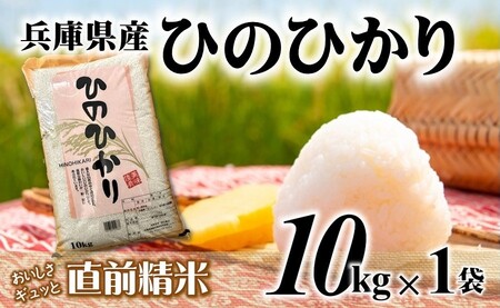 [7営業日以内発送]ヒノヒカリ 10kg 白米 令和7年産 [城口商店]米 お米 10kg 米10kg 兵庫県産 ひのひかり ヒノヒカリ 令和7年産 R7年産 2025年産 精米