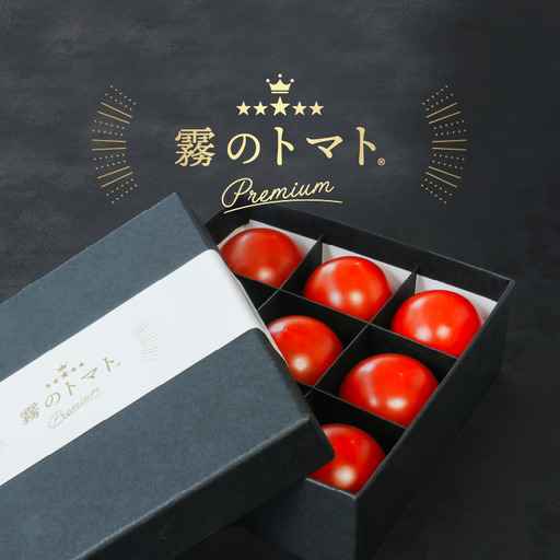 【予約受付】１月以降発送【霧で育てた濃厚な味】霧のトマトPremium　150ｇ×１パック