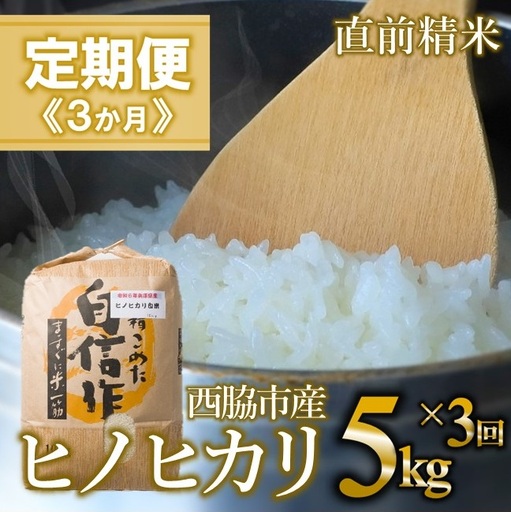 [定期便 3か月 ヒノヒカリ]白米5kg(3か月連続お届け) 2025年産 米 お米 米5kg お米5kg 兵庫県産 ひのひかり