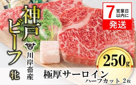 神戸ビーフ[7営業日以内発送]極厚サーロイン ハーフ2枚約250g