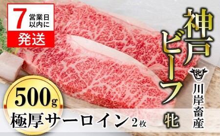 【神戸牛 牝】極厚サーロインステーキ2枚:約500g 川岸畜産 (40-9)【冷凍・期間限定品】