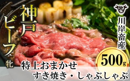 [神戸牛 牝]特上 すき焼きしゃぶしゃぶ おまかせセット:500g 川岸畜産 (24-11)[冷蔵]